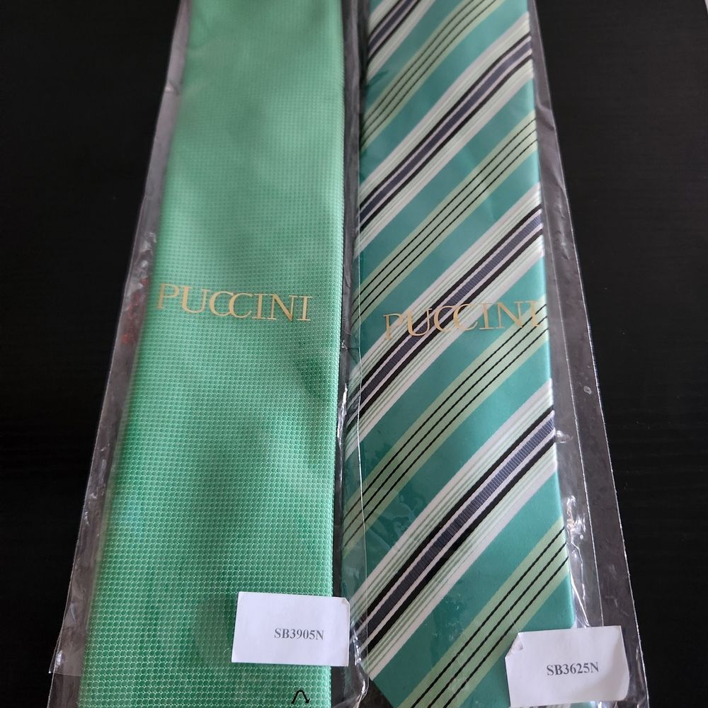 Puccini Mens Set Of 2 Green and Striped Ties Hand Made